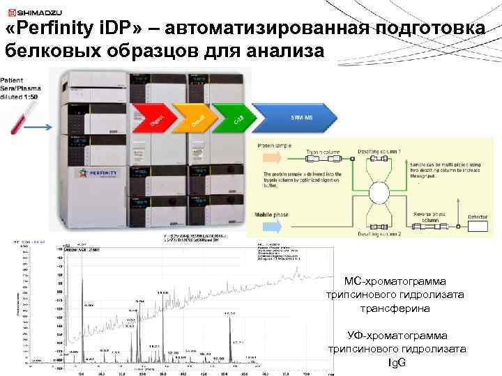  «Perfinity i. DP» – автоматизированная подготовка белковых образцов для анализа МС-хроматограмма трипсинового гидролизата