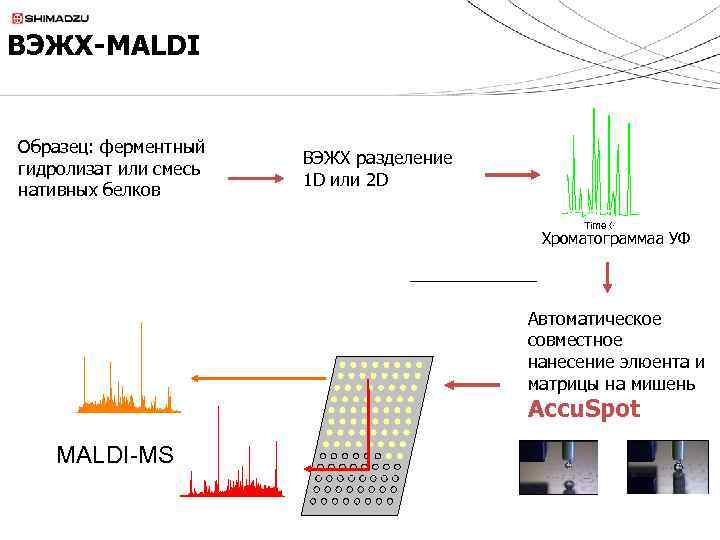 ВЭЖХ-MALDI Образец: ферментный гидролизат или смесь нативных белков ВЭЖХ разделение 1 D или 2