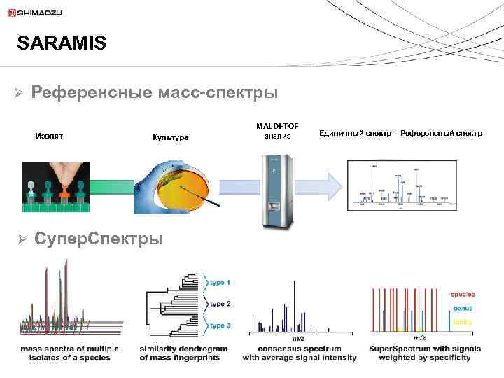 SARAMIS Ø Референсные масс-спектры Изолят Ø Культура Супер. Спектры MALDI-TOF анализ Единичный спектр =