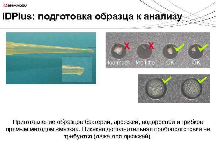 i. DPlus: подготовка образца к анализу Приготовление образцов бактерий, дрожжей, водорослей и грибков прямым