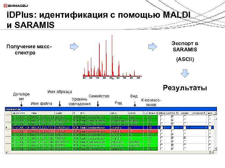 i. DPlus: идентификация с помощью MALDI и SARAMIS Экспорт в SARAMIS Получение массспектра (ASCII)