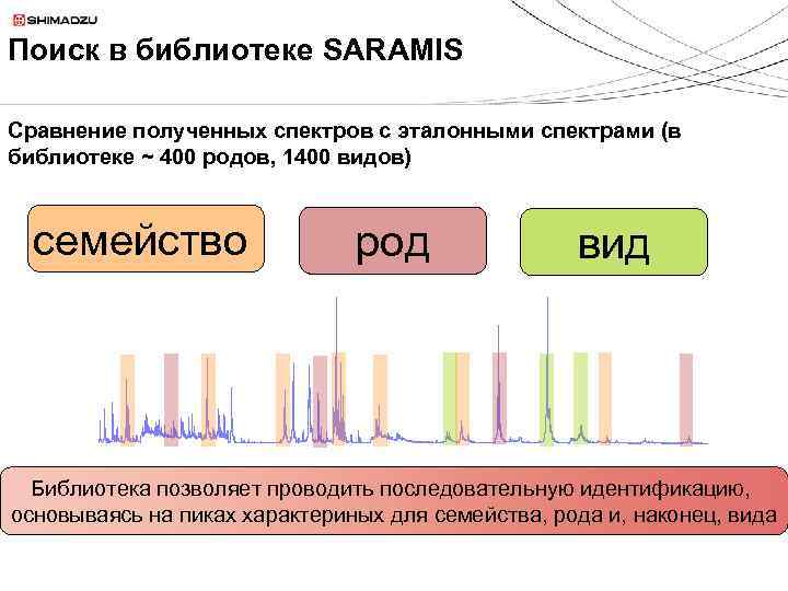 Поиск в библиотеке SARAMIS Сравнение полученных спектров с эталонными спектрами (в библиотеке ~ 400