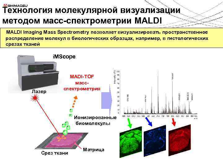 Метод масс. Масс-спектрометр малди схема. Метод лазерной масс-спектрометрии. Лазерная флуоресцентная спектроскопия. MALDI масс-спектрометрия метод.