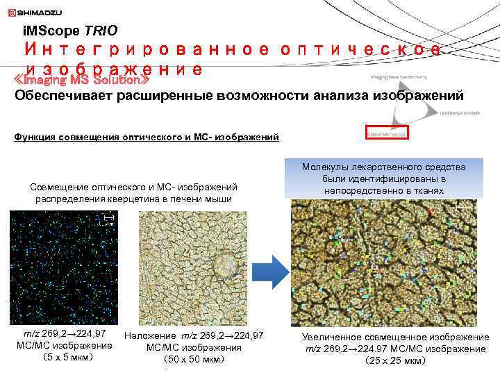 i. MScope TRIO Интегрированное оптическое изображение «Imaging MS Solution» Обеспечивает расширенные возможности анализа изображений