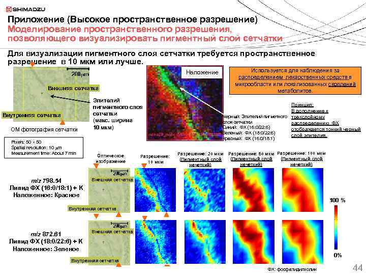 Приложение (Высокое пространственное разрешение) Моделирование пространственного разрешения, позволяющего визуализировать пигментный слой сетчатки Для визуализации