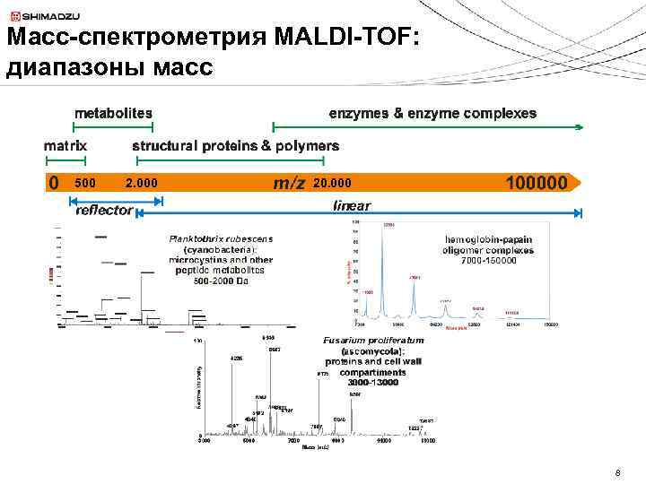 Масс-спектрометрия MALDI-TOF: диапазоны масс 500 2. 000 20. 000 8 