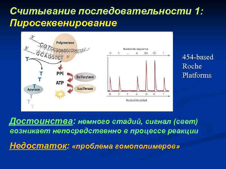 Считывание последовательности 1: Пиросеквенирование 454 -based Roche Platforms Достоинства: немного стадий, сигнал (свет) возникает