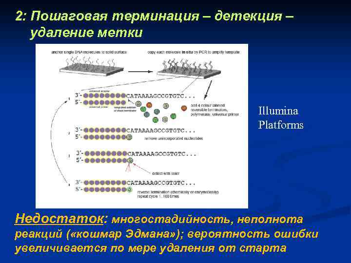 2: Пошаговая терминация – детекция – удаление метки Illumina Platforms Недостаток: многостадийность, неполнота реакций