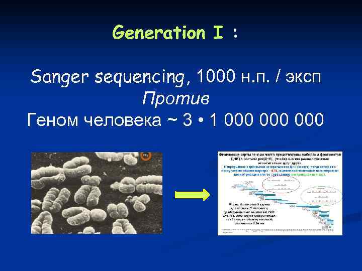 Generation I : Sanger sequencing, 1000 н. п. / эксп Против Геном человека ~