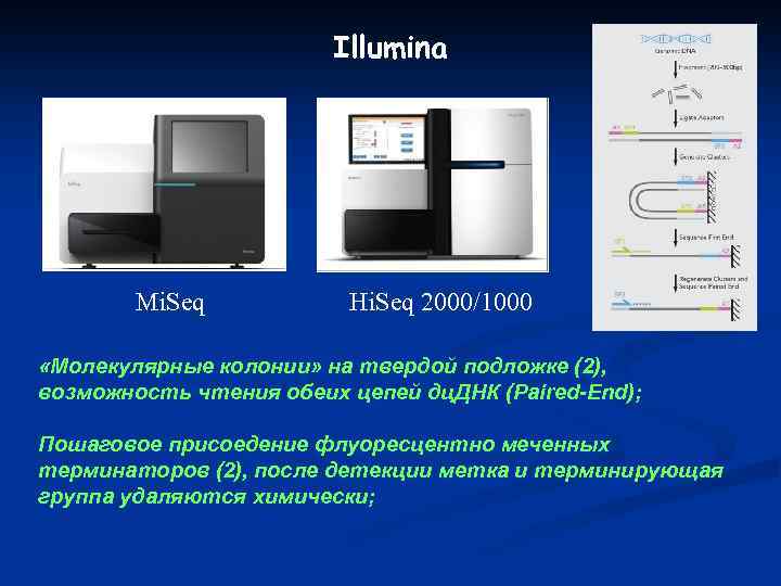 Illumina Mi. Seq Hi. Seq 2000/1000 «Молекулярные колонии» на твердой подложке (2), возможность чтения