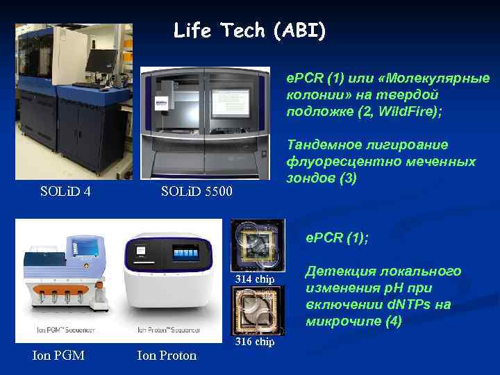 Life Tech (ABI) e. PCR (1) или «Молекулярные колонии» на твердой подложке (2, Wild.