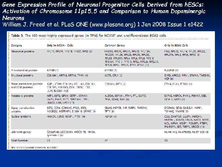 Gene Expression Profile of Neuronal Progenitor Cells Derived from h. ESCs: Activation of Chromosome