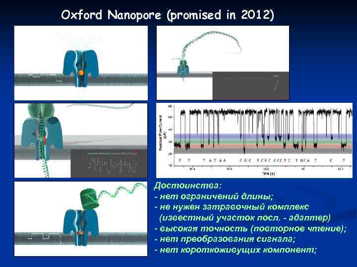 Oxford Nanopore (promised in 2012) Достоинства: - нет ограничений длины; - не нужен затравочный