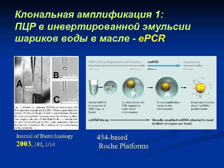 Клональная амплификация 1: ПЦР в инвертированной эмульсии шариков воды в масле - e. PCR