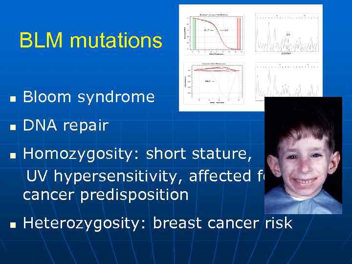 BLM mutations n Bloom syndrome n DNA repair n n Homozygosity: short stature, UV