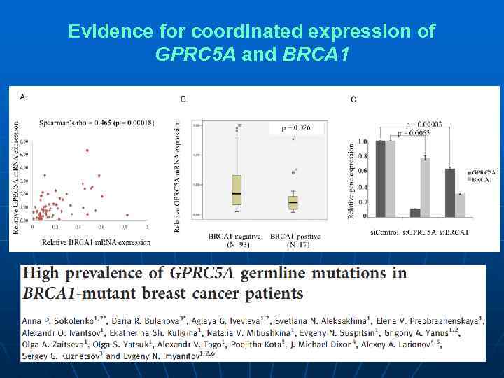 Evidence for coordinated expression of GPRC 5 A and BRCA 1 29 