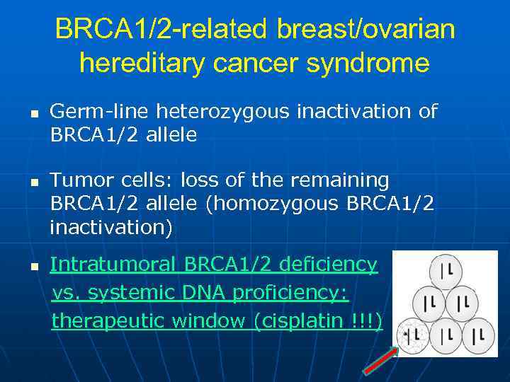 BRCA 1/2 -related breast/ovarian hereditary cancer syndrome n n n Germ-line heterozygous inactivation of