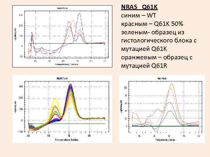 NRAS Q 61 K синим – WT красным – Q 61 K 50% зеленым-