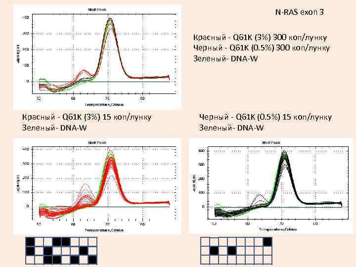 N-RAS exon 3 Красный - Q 61 K (3%) 300 коп/лунку Черный - Q