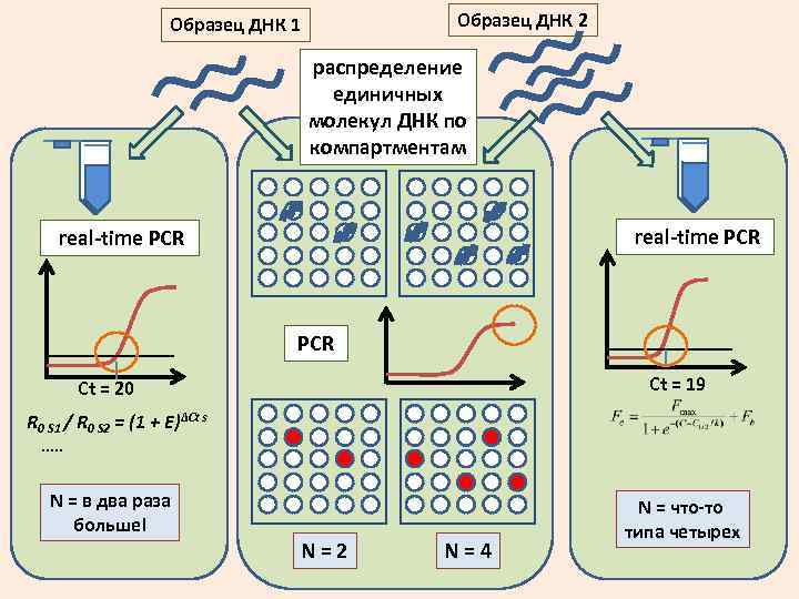 Образец ДНК 2 Образец ДНК 1 распределение единичных молекул ДНК по компартментам real-time PCR