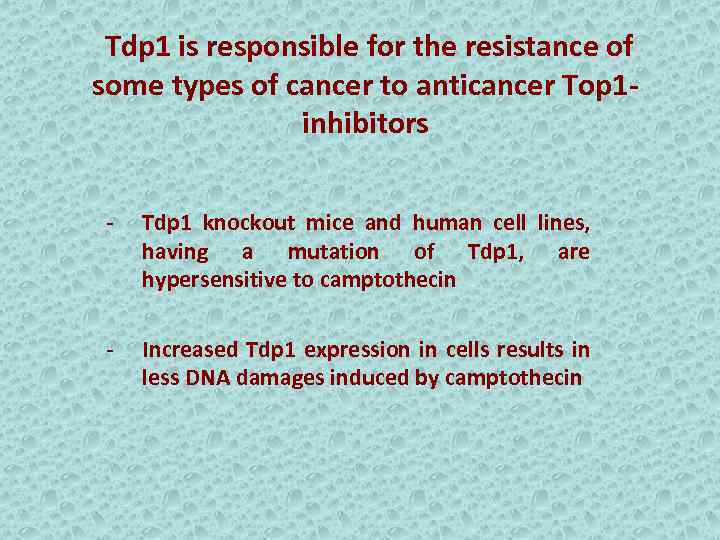 Tdp 1 is responsible for the resistance of some types of cancer to anticancer