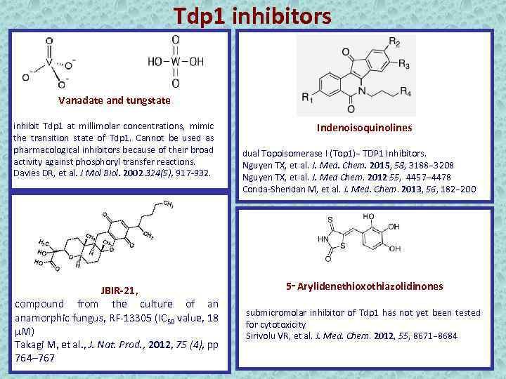 Tdp 1 inhibitors Vanadate and tungstate inhibit Tdp 1 at millimolar concentrations, mimic the