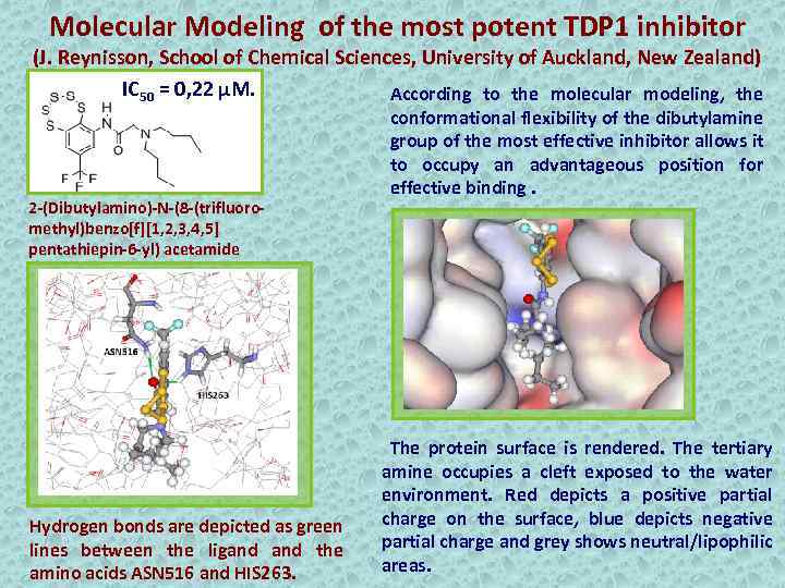 Molecular Modeling of the most potent TDP 1 inhibitor (J. Reynisson, School of Chemical