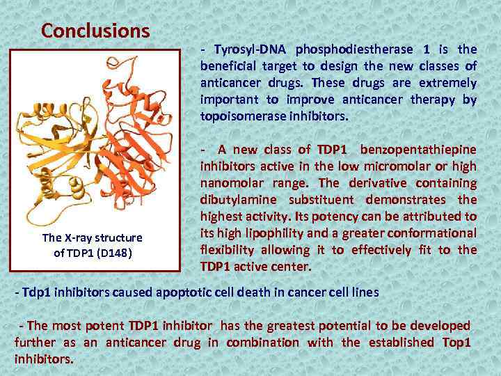 Conclusions The X-ray structure of TDP 1 (D 148) - Tyrosyl-DNA phosphodiestherase 1 is