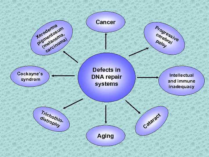 a rm um de ro ntos a, Xe e om ) m n a