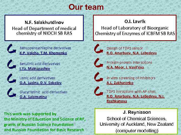 Our team N. F. Salakhutdinov Head of Department of medical chemistry of NIOCH SB