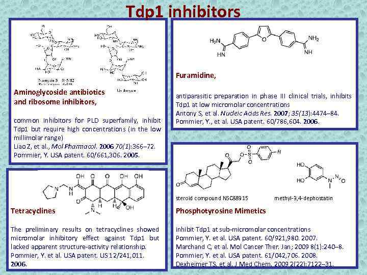 Tdp 1 inhibitors Furamidine, Aminoglycoside antibiotics and ribosome inhibitors, common inhibitors for PLD superfamily,