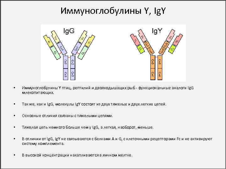 Чем отличаются иммуноглобулины