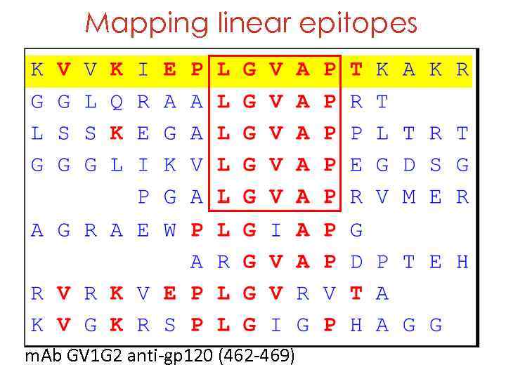 Mapping linear epitopes m. Ab GV 1 G 2 anti-gp 120 (462 -469) 