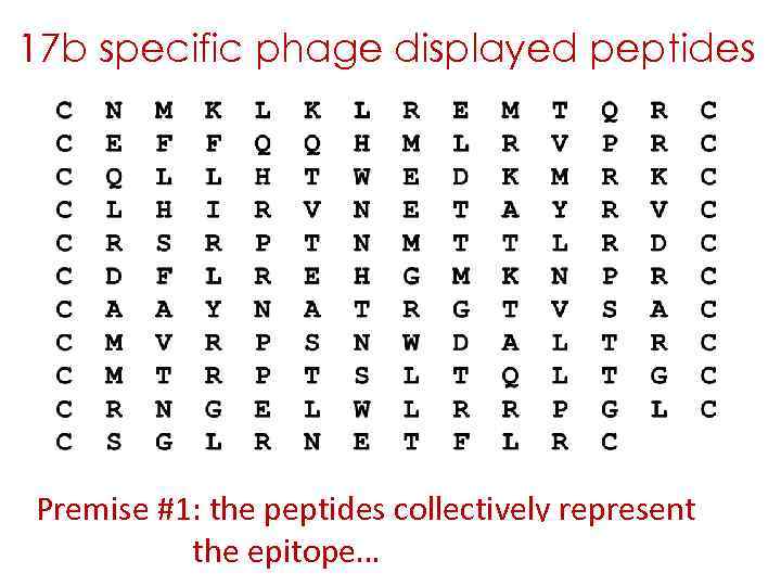 17 b specific phage displayed peptides Premise #1: the peptides collectively represent the epitope…