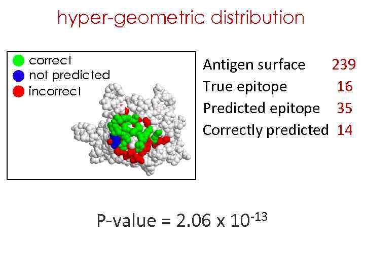 hyper-geometric distribution correct not predicted incorrect Antigen surface 239 True epitope 16 Predicted epitope