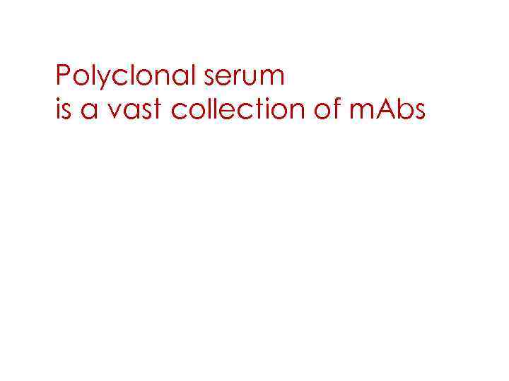 Polyclonal serum is a vast collection of m. Abs 