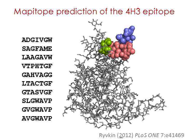 Mapitope prediction of the 4 H 3 epitope ADGIVGW SAGFAME LAAGAVW VTPHTGF GAHVAGG LTACTGF