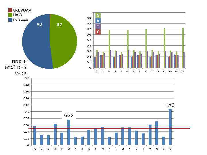 UGA/UAA UAG no stops 1 G A T C 0. 9 52 47 0.