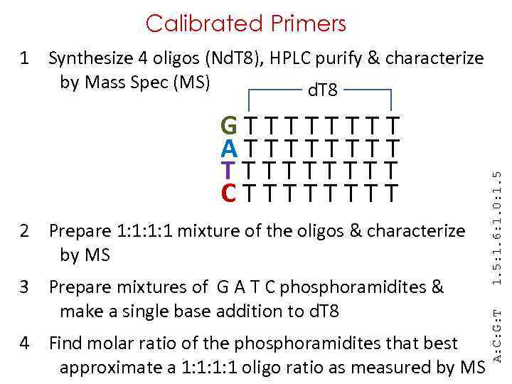 Calibrated Primers G T T T T A T T T T T C