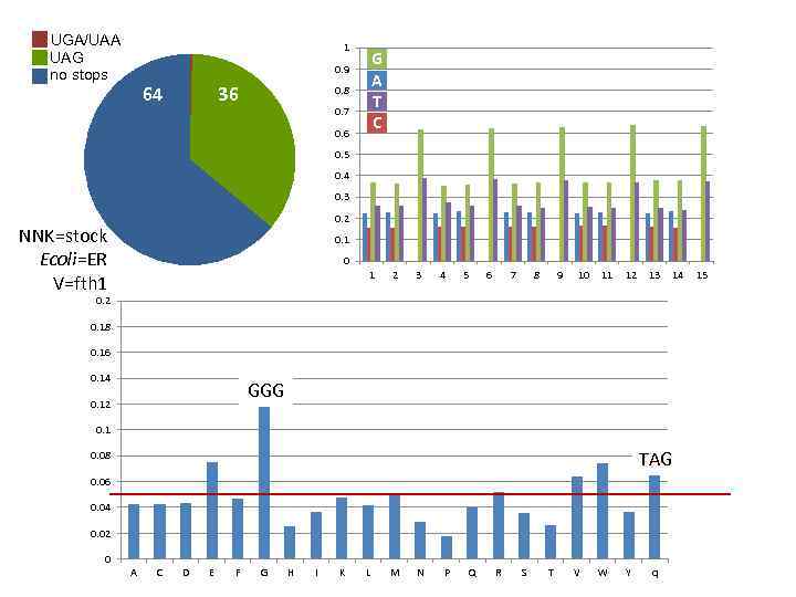 UGA/UAA UAG no stops 1 G A T C 0. 9 64 36 0.
