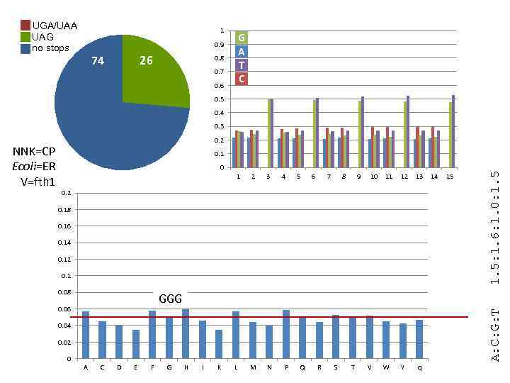 UGA/UAA UAG no stops 1 G A T C 0. 9 74 26 0.