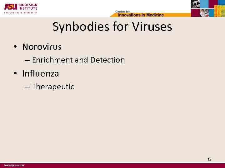Synbodies for Viruses • Norovirus – Enrichment and Detection • Influenza – Therapeutic 12