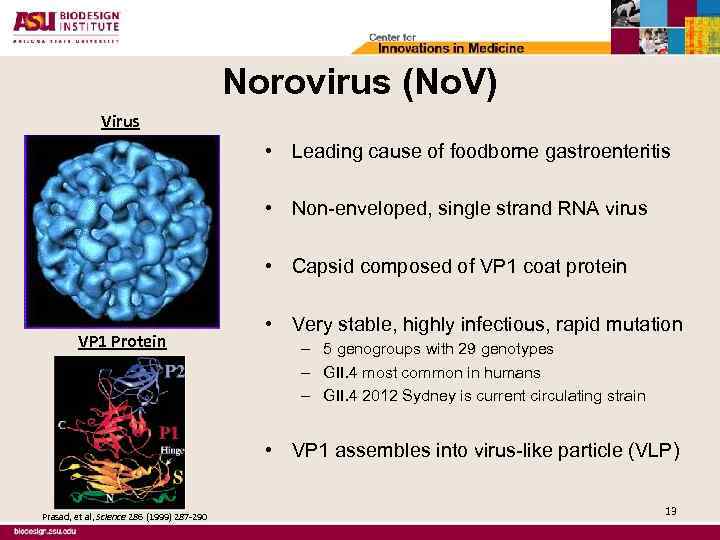Norovirus (No. V) Virus • Leading cause of foodborne gastroenteritis • Non-enveloped, single strand