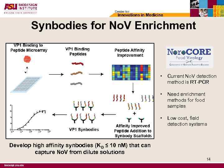 Synbodies for No. V Enrichment • Current No. V detection method is RT-PCR •