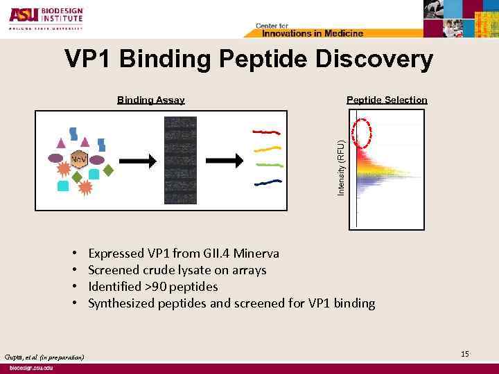 VP 1 Binding Peptide Discovery Peptide Selection Intensity (RFU) Binding Assay • • Gupta,