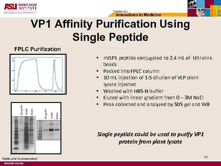VP 1 Affinity Purification Using Single Peptide FPLC Purification • n. VLP 1 peptide