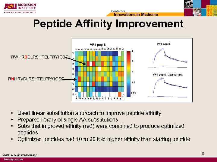 Peptide Affinity Improvement RWHRDDLRSHTELPRYIGSC RNHRVDLRSHTELPRYIGSC • Used linear substitution approach to improve peptide affinity