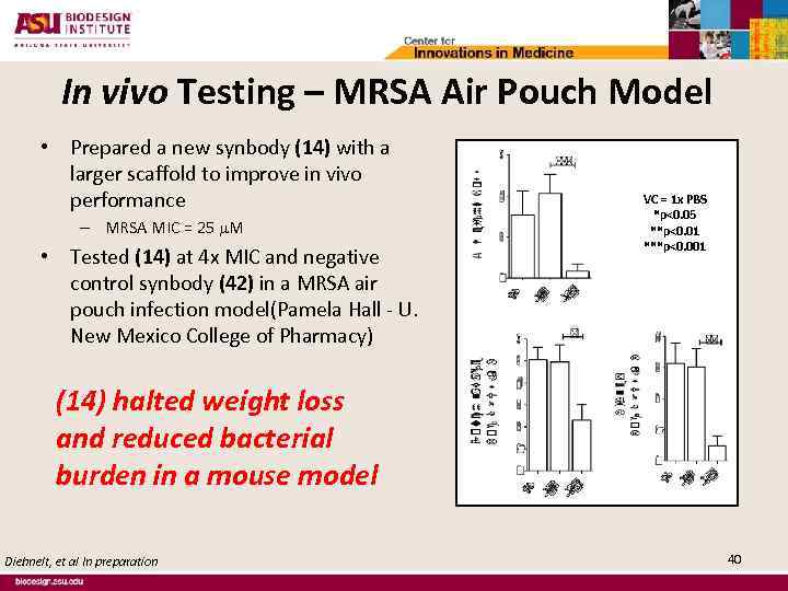 In vivo Testing – MRSA Air Pouch Model • Prepared a new synbody (14)