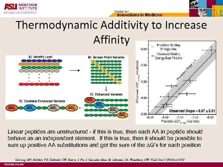 Thermodynamic Additivity to Increase Affinity Linear peptides are unstructured - if this is true,