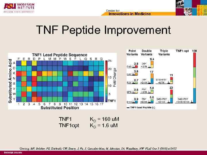 TNF Peptide Improvement TNF 1 opt KD = 160 u. M KD = 1.